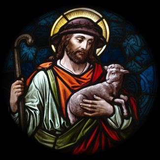 Jesus Christus - der gute Hirte