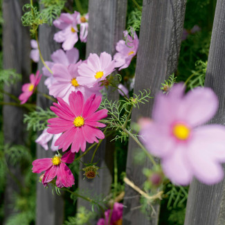 Sommerzeit